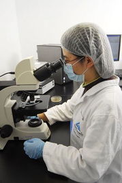 萊茵技術(shù)商檢青島食品實(shí)驗(yàn)室 技術(shù)創(chuàng)新與交流的視覺(jué)之旅